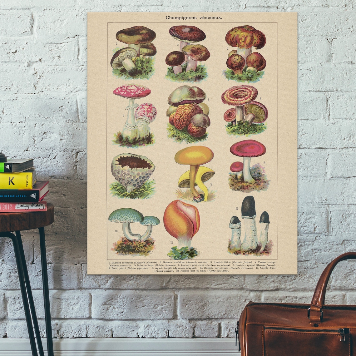 Vintage Poisonous Mushroom Illustration, 19th Century - Image 2