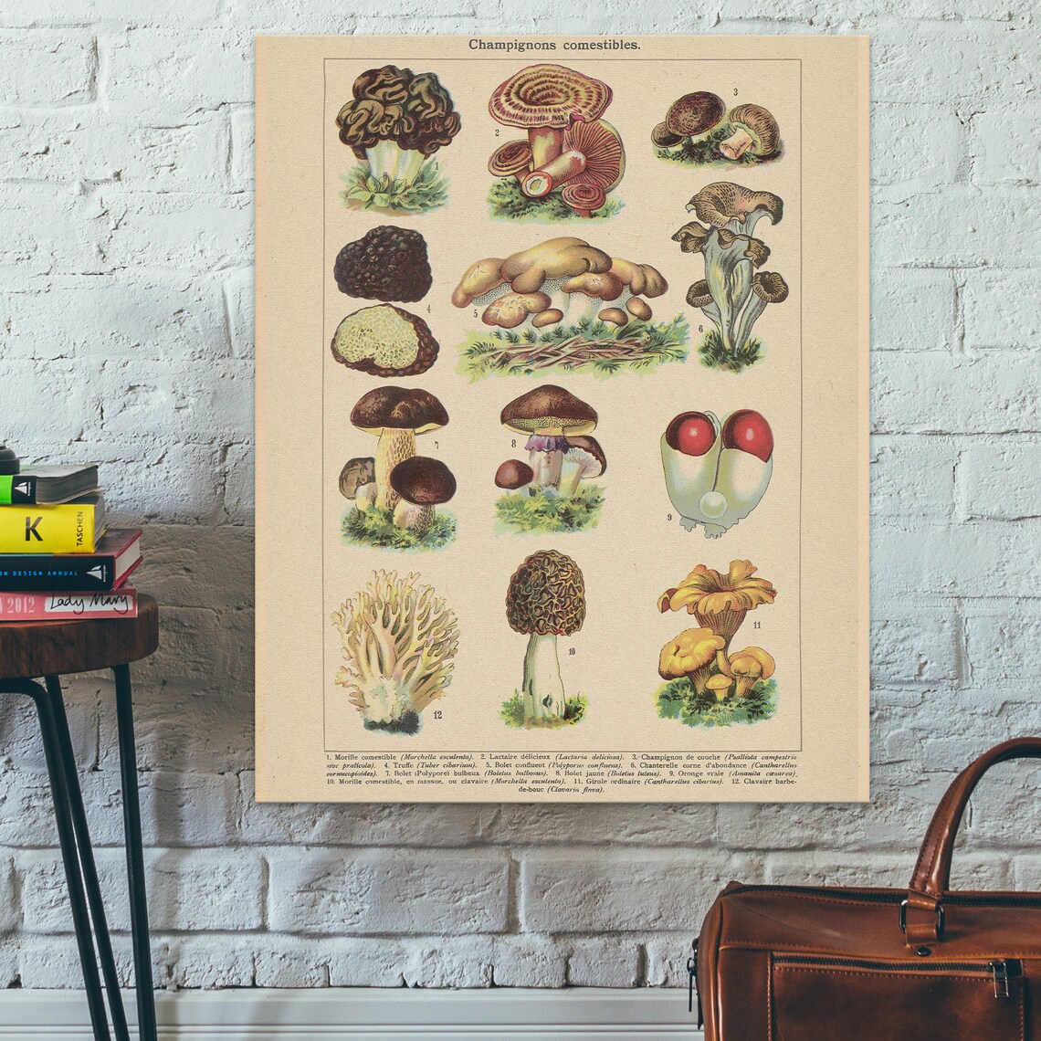 Vintage Edible Mushroom Illustration, 19th Century Art - Image 2