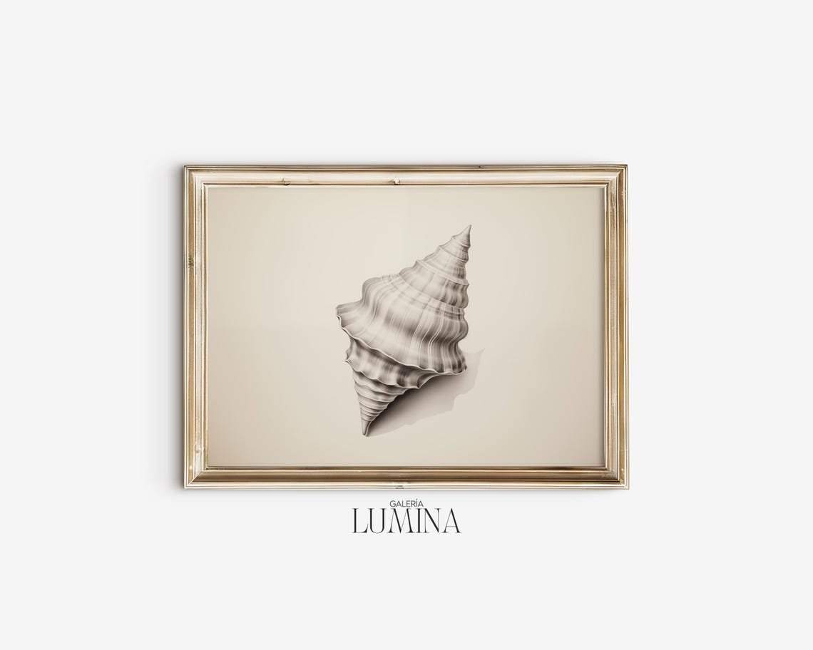 Conch Shell Pencil Drawing Minimalist Coastal Seashell Poster - Image 2