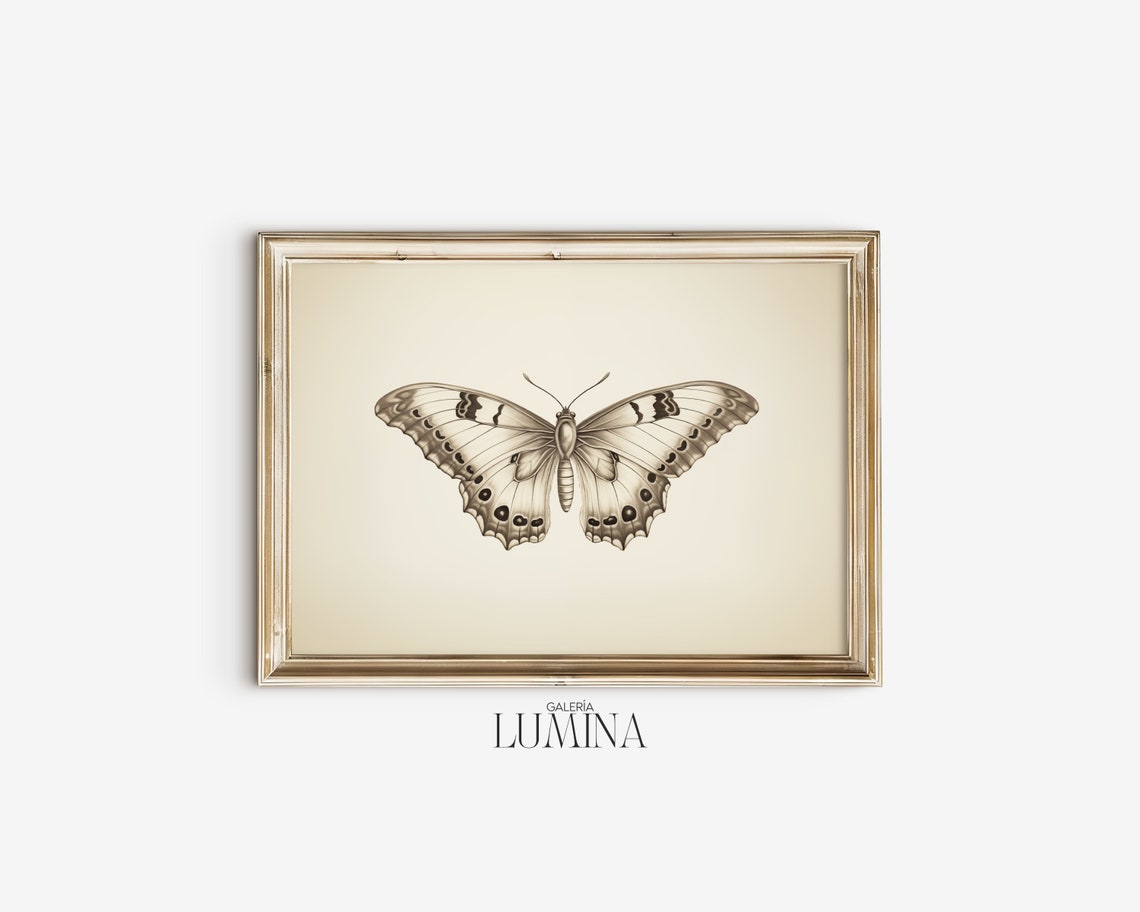 Butterfly Pencil Drawing Vintage Butterfly Wall Art Butterfly Sketch Art Antique Butterfly Print Art Frame Tv Art 053 - Image 2