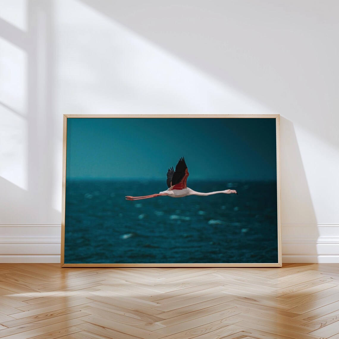 Walvis Bay Namibia Flying Flamingo Wildlife Photography Print - Image 3