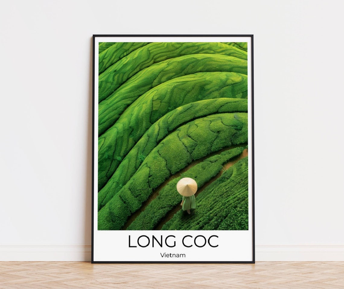 Long Coc Vietnam Terraced Tea Fields Conical Hat Landscape Poster