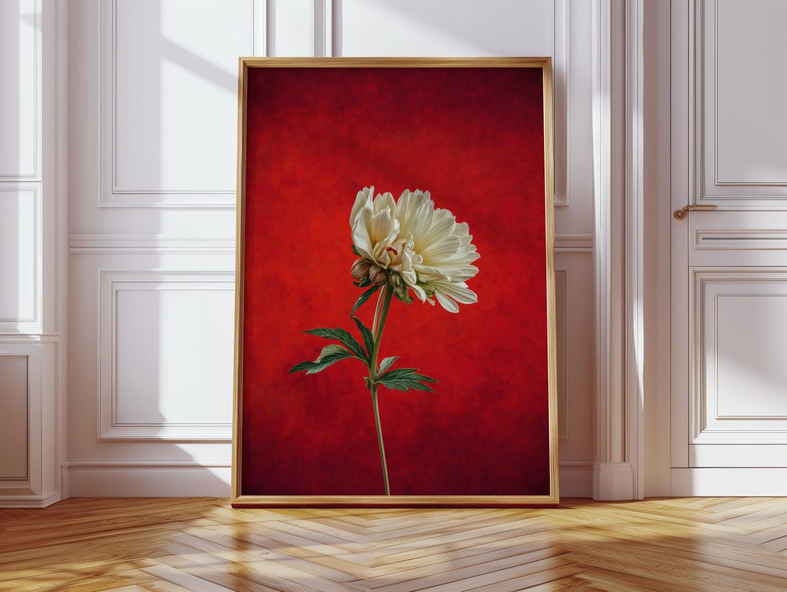 Single White Peony Bloom Deep Red Background Botanical Poster