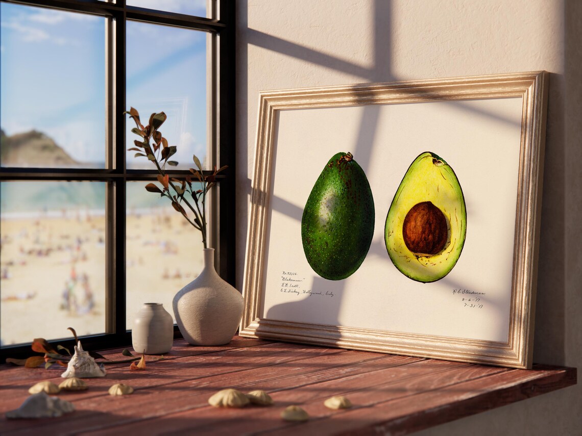 Avocado Minimalist Kitchen Art Print, Modern Poster - Image 3