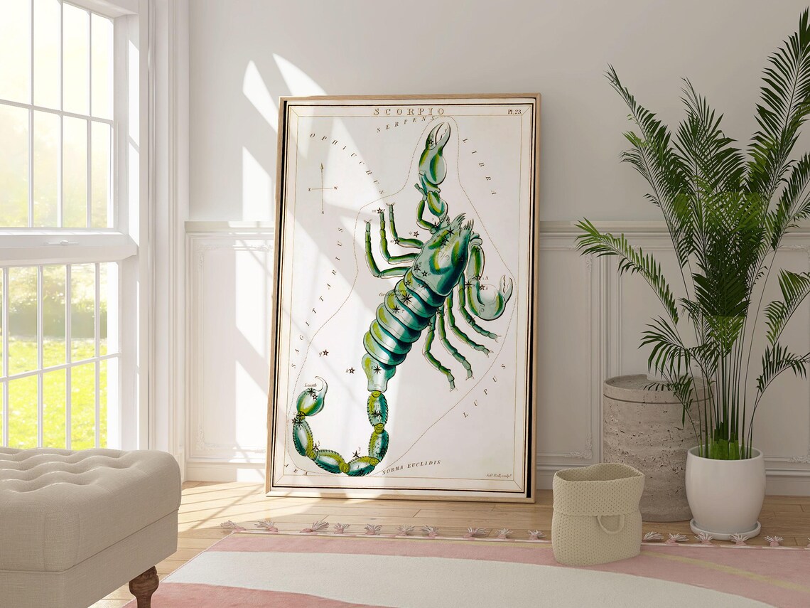 Scorpio Constellation Vintage Celestial Star Chart Green Scorpion Zodiac Poster - Image 4