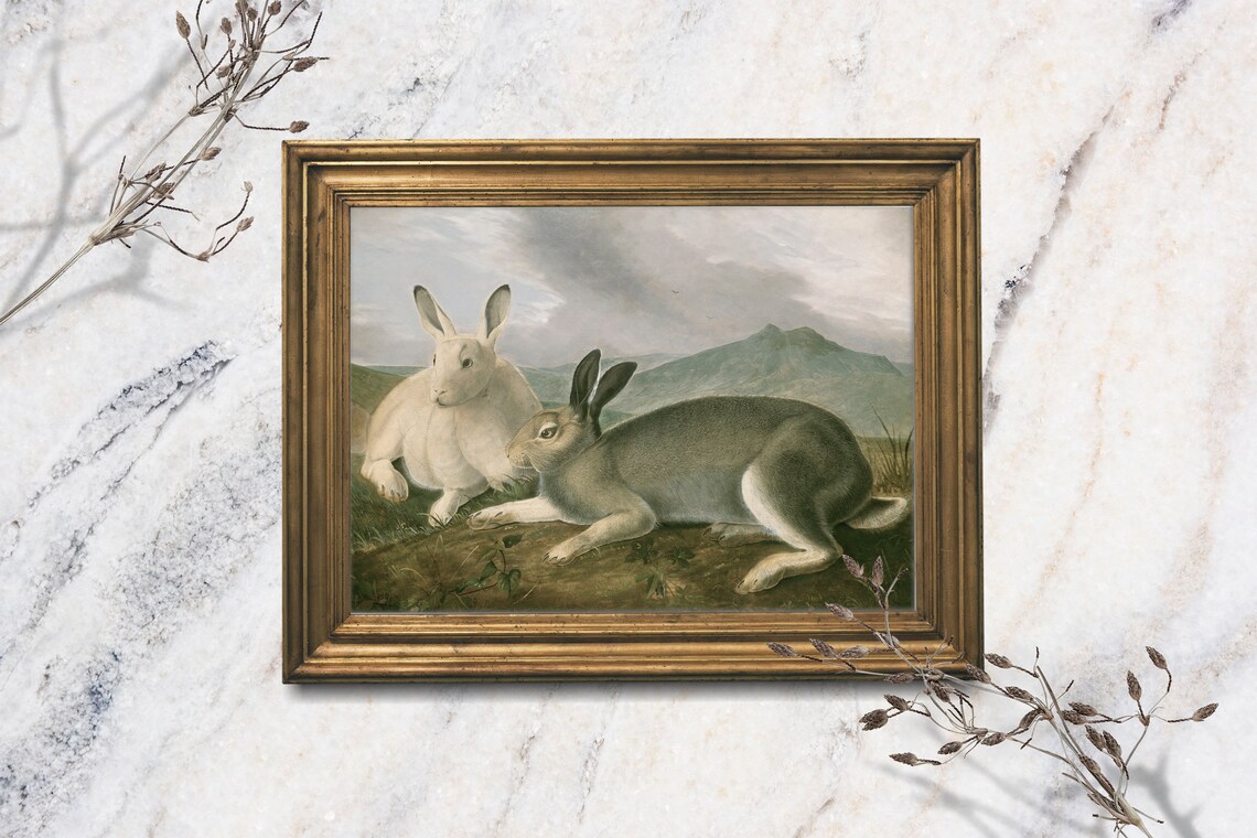 Two Hares Vintage Oil Painting White Brown Rabbits Moorland Art Print
