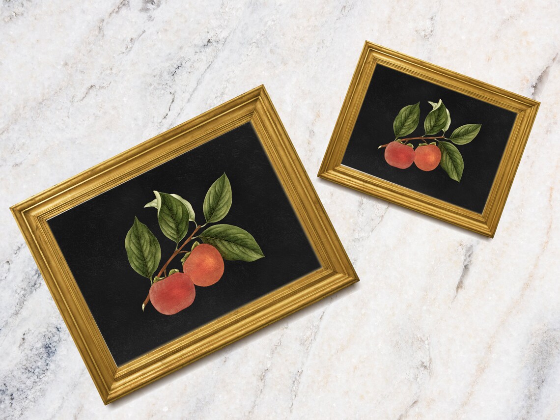 Moody Persimmon Branch Still Life Orange Fruit Botanical Oil Painting Art Print - Image 2