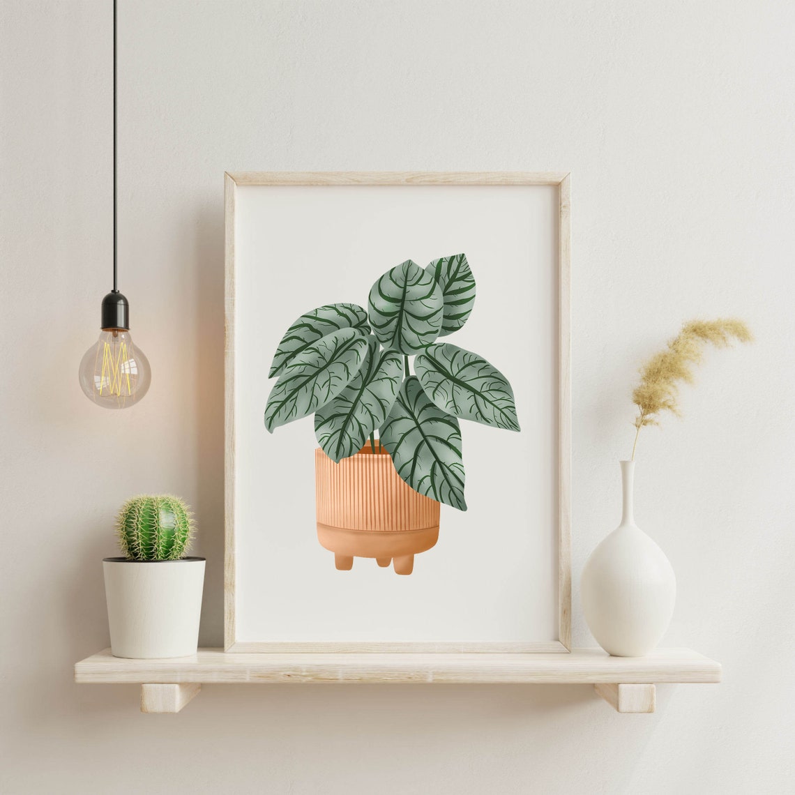Alocasia Silver Dragon in a Terracotta Ribbed Pot Minimal Poster - Image 3