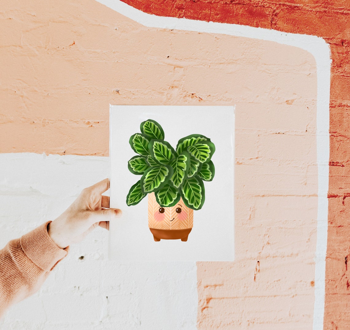 Calathea Roseopicta in a Patterned Terracotta Pot with a Face Poster - Image 2