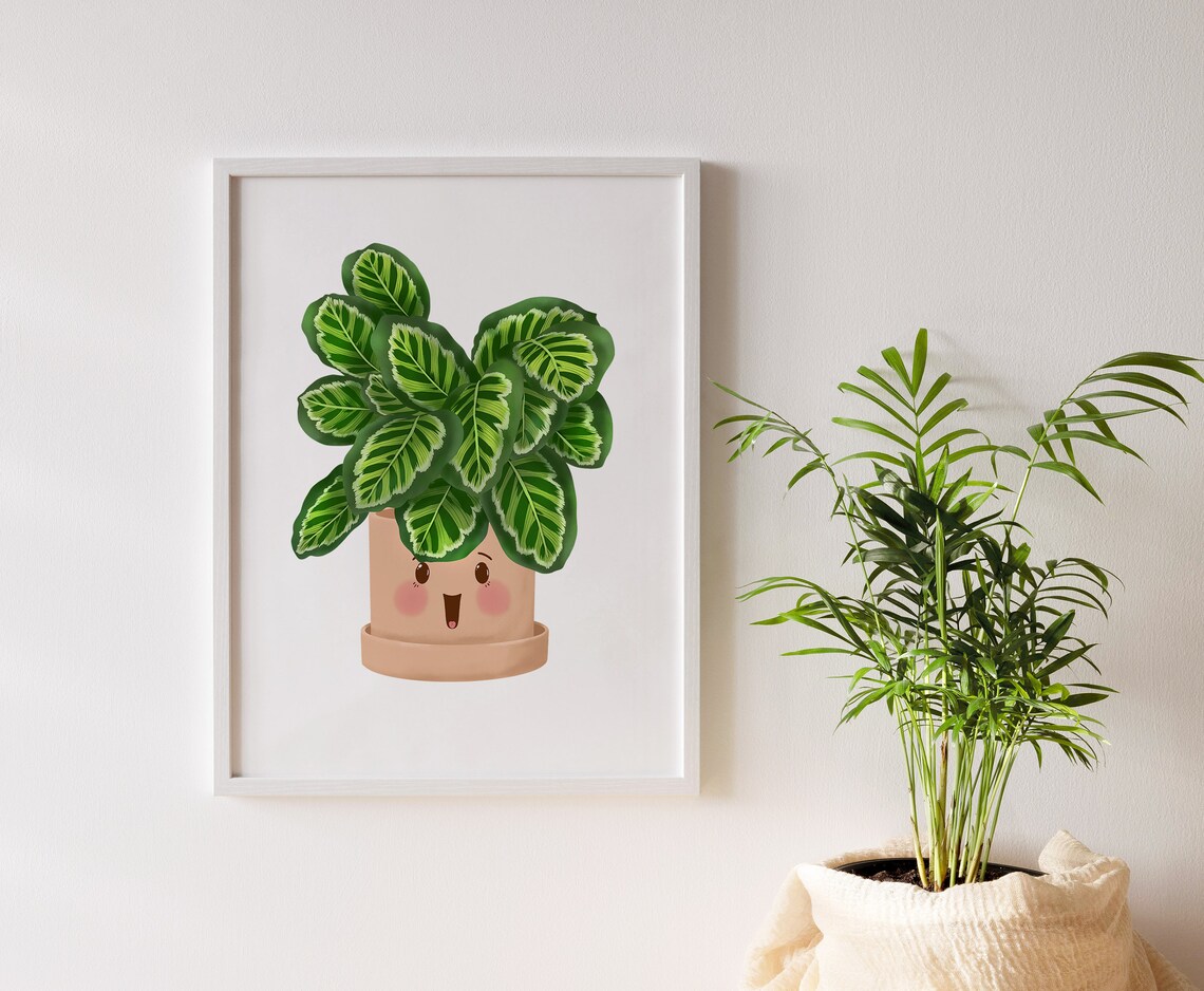 Happy Calathea Roseopicta in a Smiling Terracotta Pot Poster - Image 2
