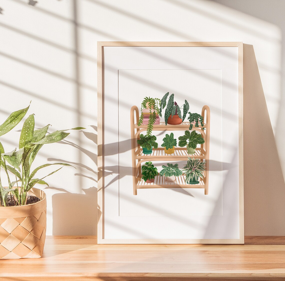 Indoor Plants On A Wooden Rattan Shelf Botanical Illustration Poster