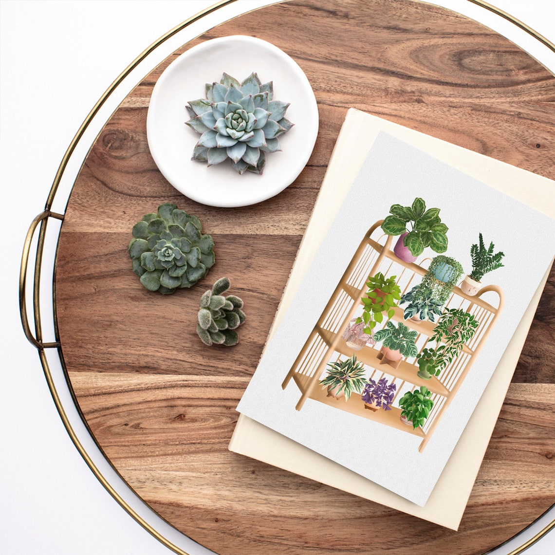 Lush Houseplant Shelf Illustration On Rattan Rack Botanical Poster - Image 2