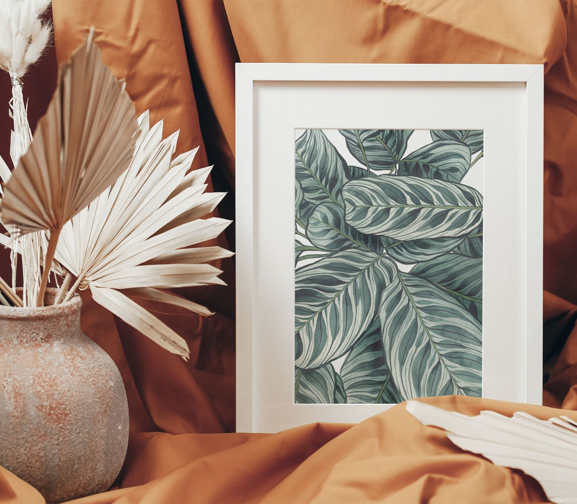 Calathea Striped Leaves Watercolor Botanical Illustration Poster - Image 2