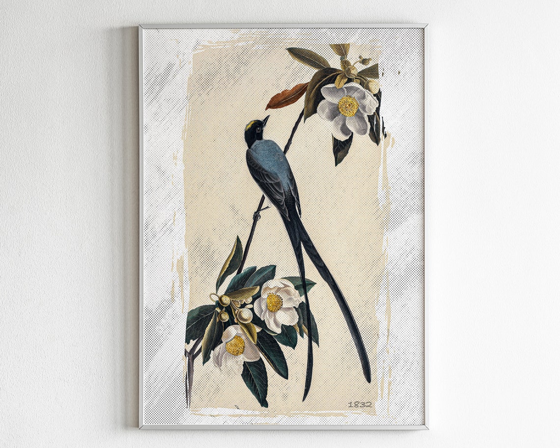 Vintage Fork-Tailed Bird Illustration Poster With 1832 Flower Art