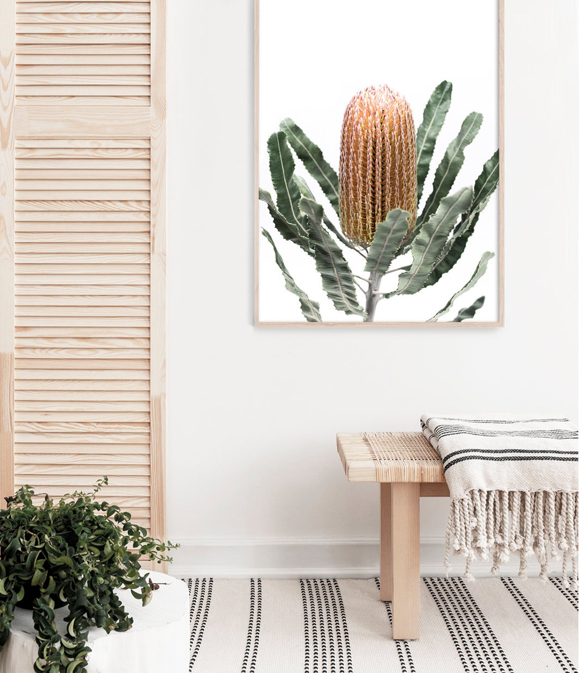 Banksia Flower Orange Rust Australian Native Botanical Wall Art Poster - Image 3