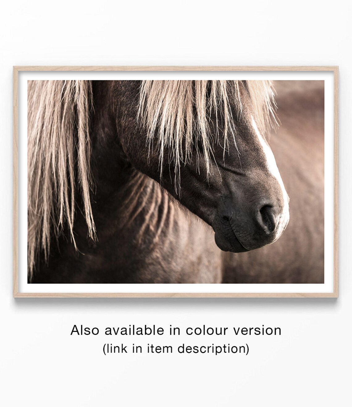 Horse Black and White Photography Large Wall Art Print - Image 2