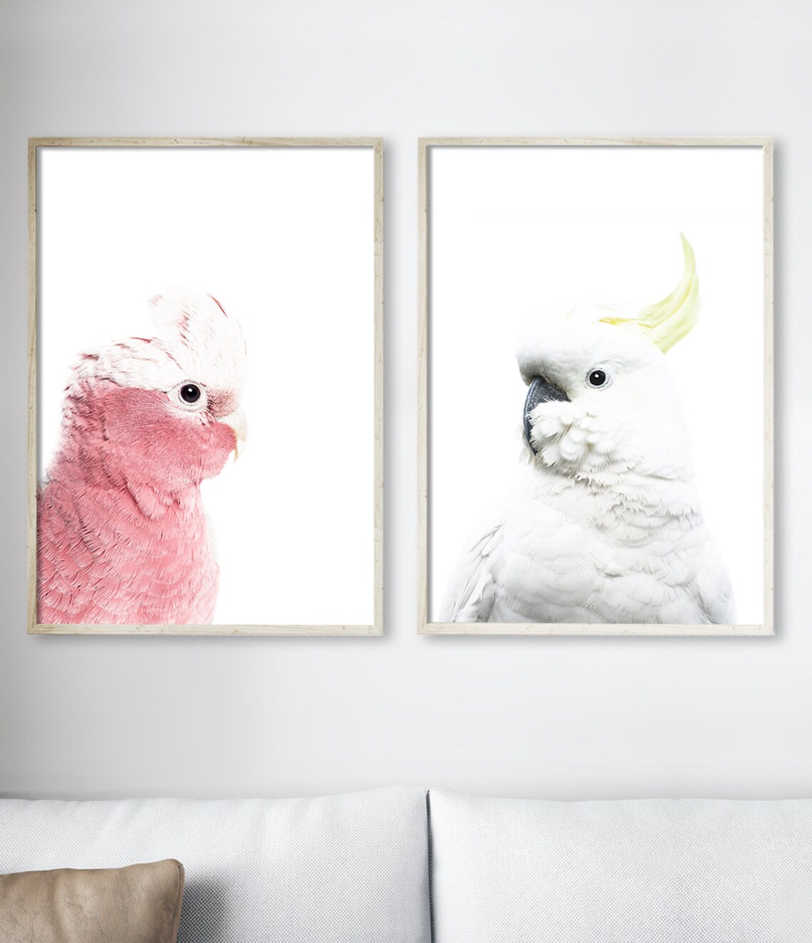 White Cockatoo Australian Bird Photography Art Print - Image 3