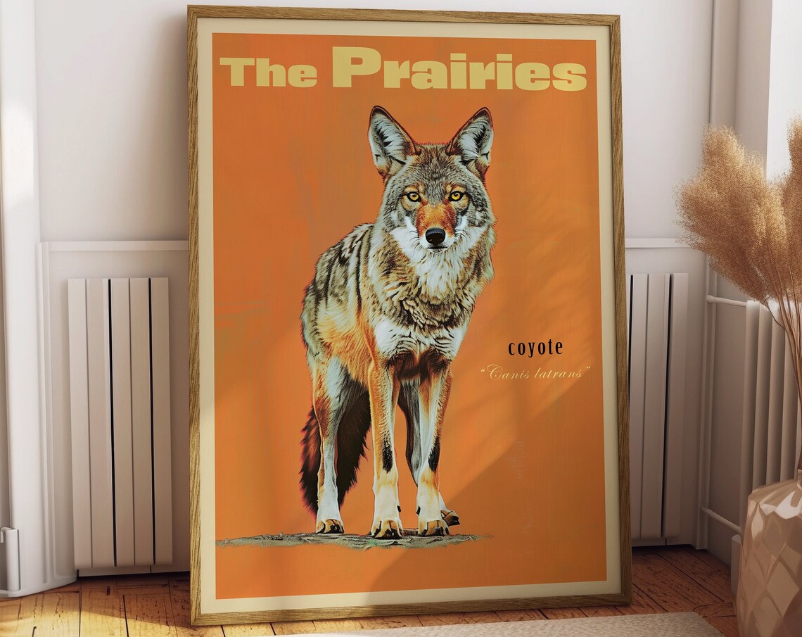 Vintage Coyote Print, Prairies Saskatchewan Canada