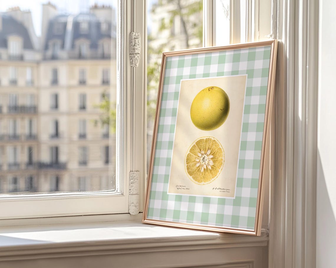Vintage Grapefruit Botanical Illustration Green Gingham Kitchen Poster - Image 3