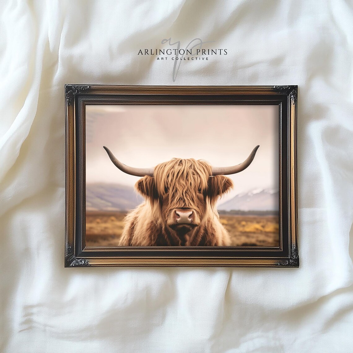 Scottish Highland Cow Close Up Portrait Rustic Farmhouse Poster - Image 4