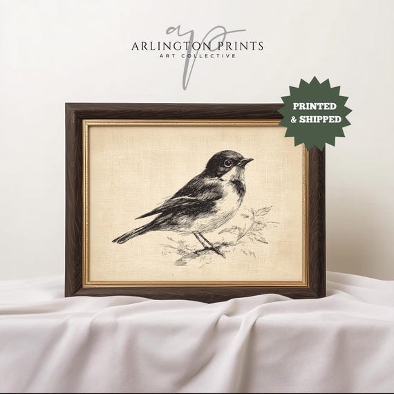 Antique Style Bird Nursery Art, Classic Farmhouse