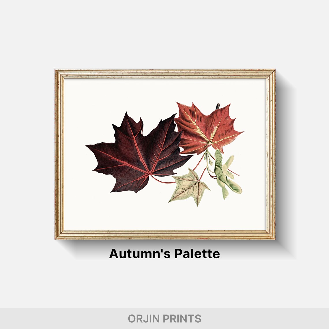 Fall Foliage Delight Red Maple Leaves, Autumn Decor - Image 2