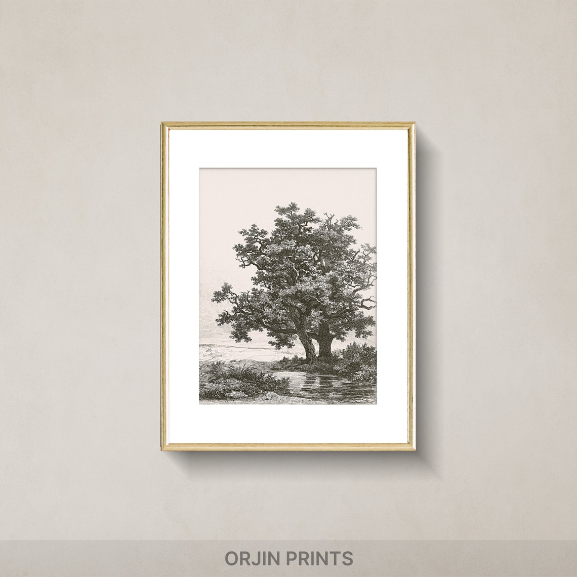 Majestic Oak Tree by a Stream Black White Engraving Art Poster