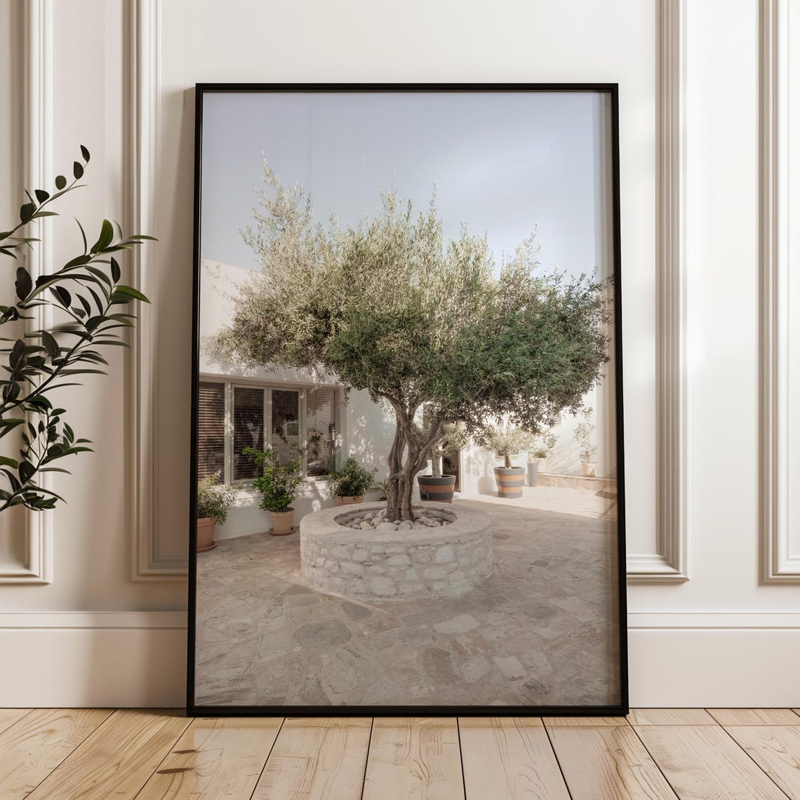 Olive Tree Stone Planter Sunlit White Mediterranean Courtyard Poster - Image 6
