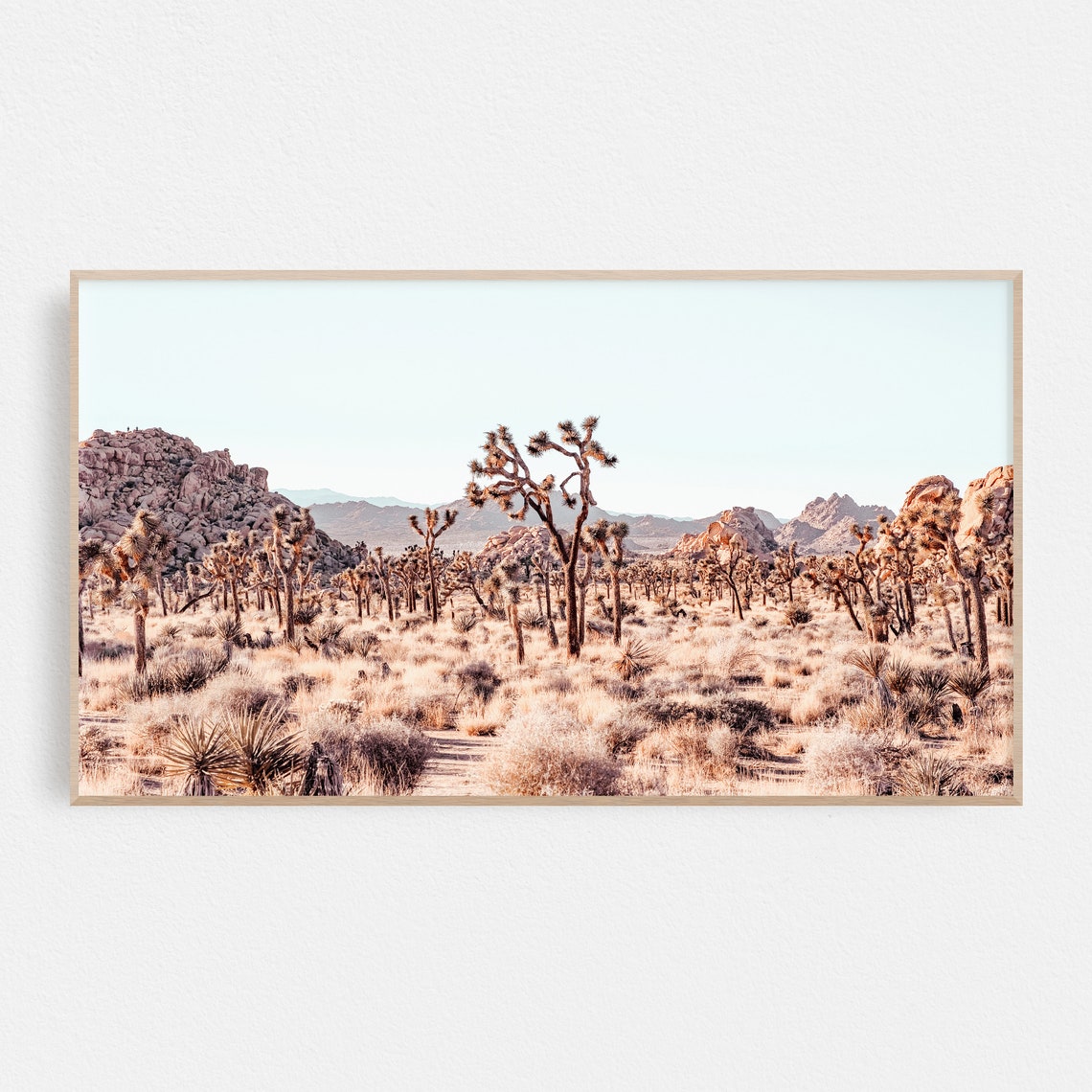 Joshua Tree National Park Desert Sunset Landscape Photography Poster