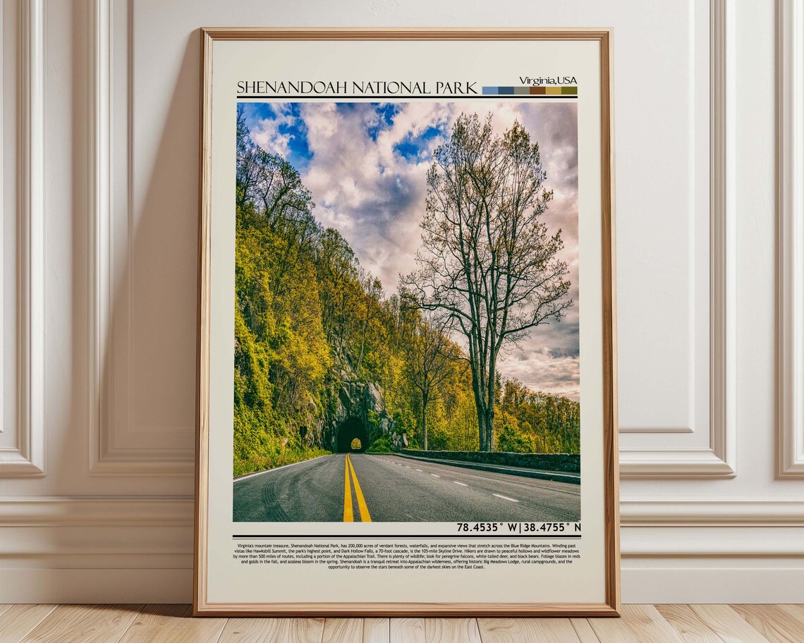 Shenandoah National Park Virginia Blue Ridge Road Travel Poster