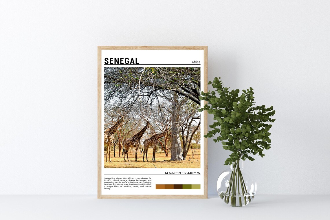 Senegal West Africa Giraffe Herd Savanna Acacia Trees Poster - Image 4