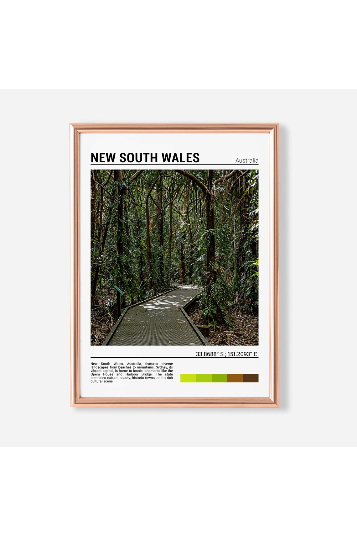 New South Wales Australia Rainforest Boardwalk Trail Photo Poster