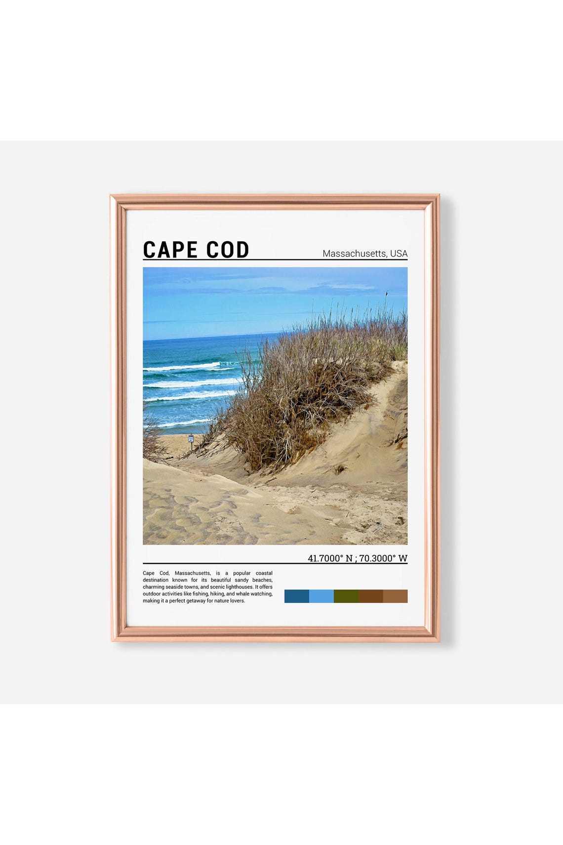 Cape Cod Massachusetts Sandy Dune Beach Grass Coastal Scene Poster