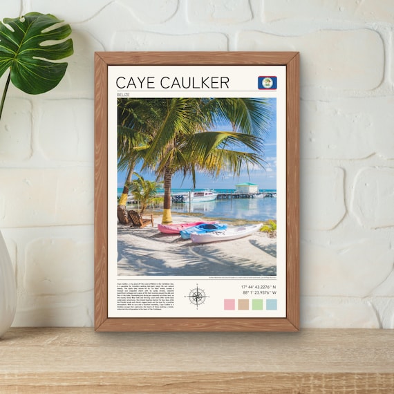 Caye Caulker Belize Palm Trees Kayaks Pier Caribbean Beach Poster