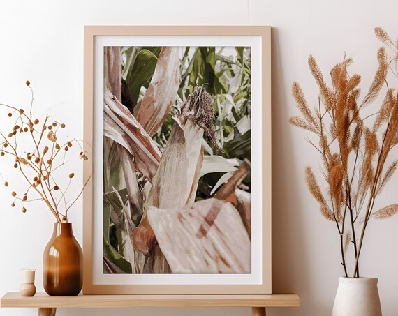 Fall Corn Art Print