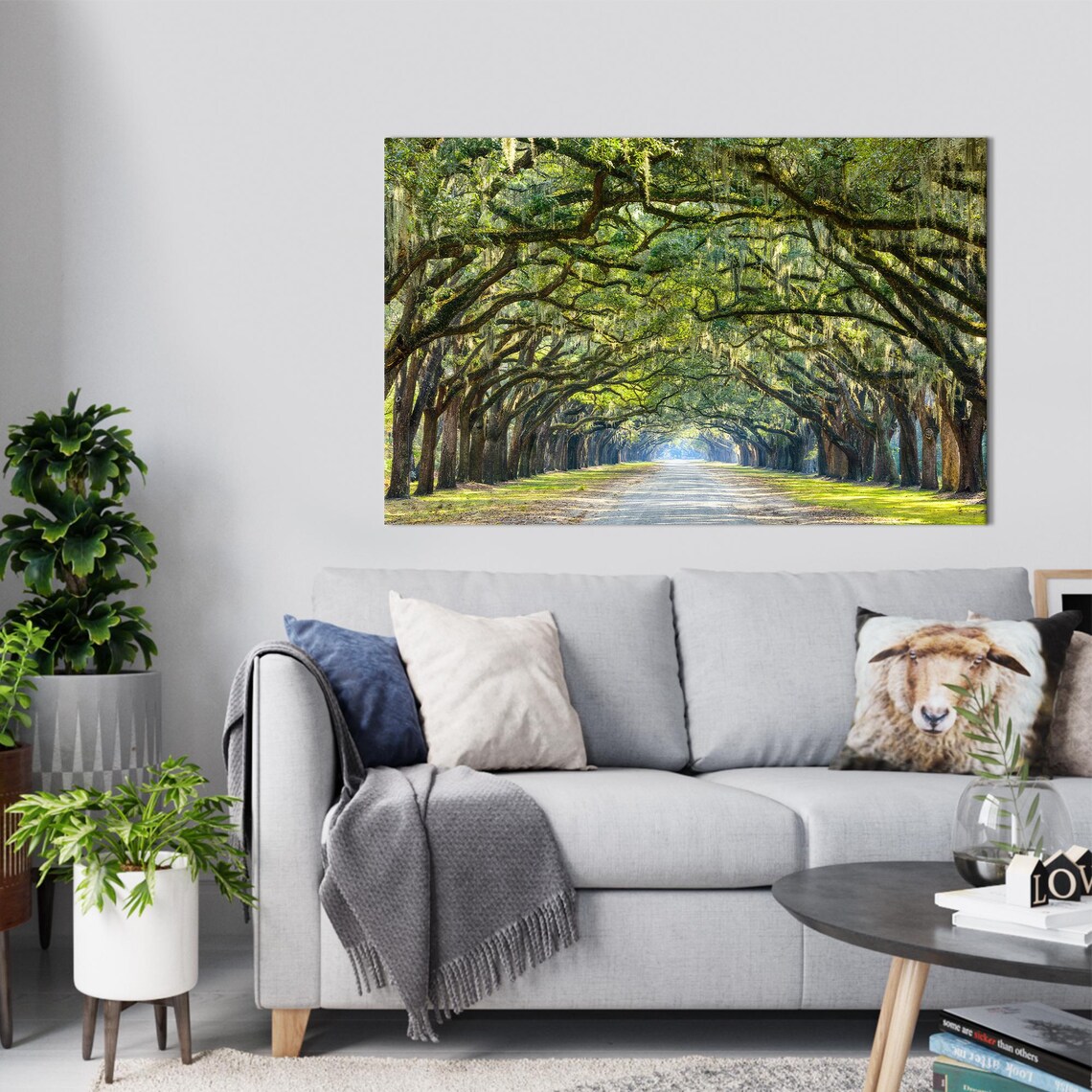 Grand Oak Tree Avenue Moss Covered Road Green Canopy Photo Poster