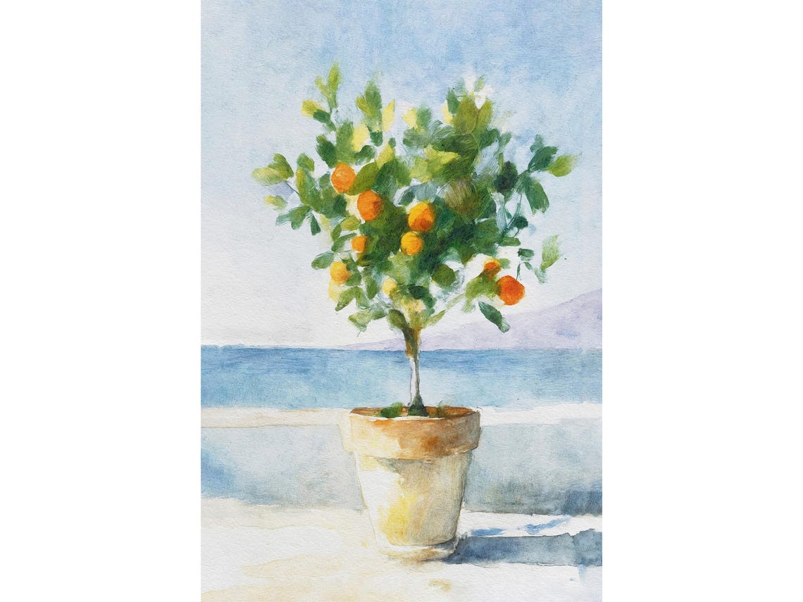 Potted Orange Tree Watercolor Mediterranean Coastal Garden Poster
