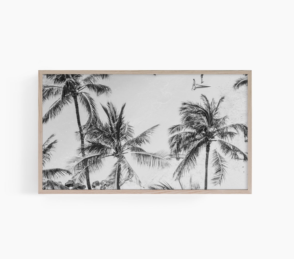 Black and White Palm Trees Over a Sandy Beach Aerial Photo Poster