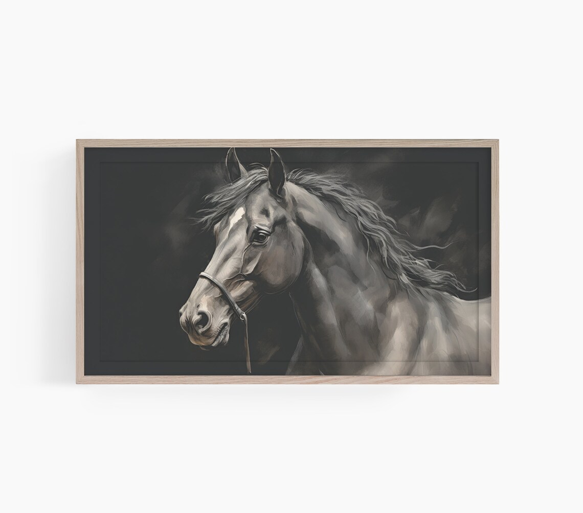 Moody Dark Horse Portrait Black Background Equestrian Wall Art