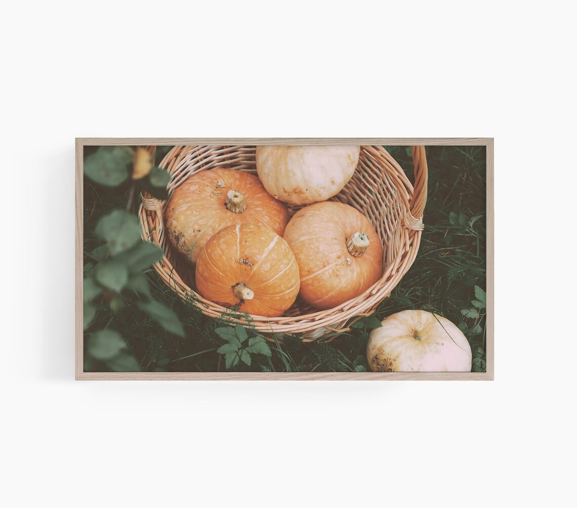 Basket Of Pumpkins Fresh Harvest Autumn Garden Fall Porch Photography Wall Art