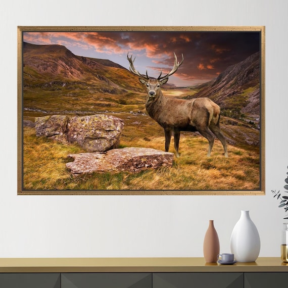 Majestic Red Deer Stag Highlands Sunset Mountain Landscape Poster