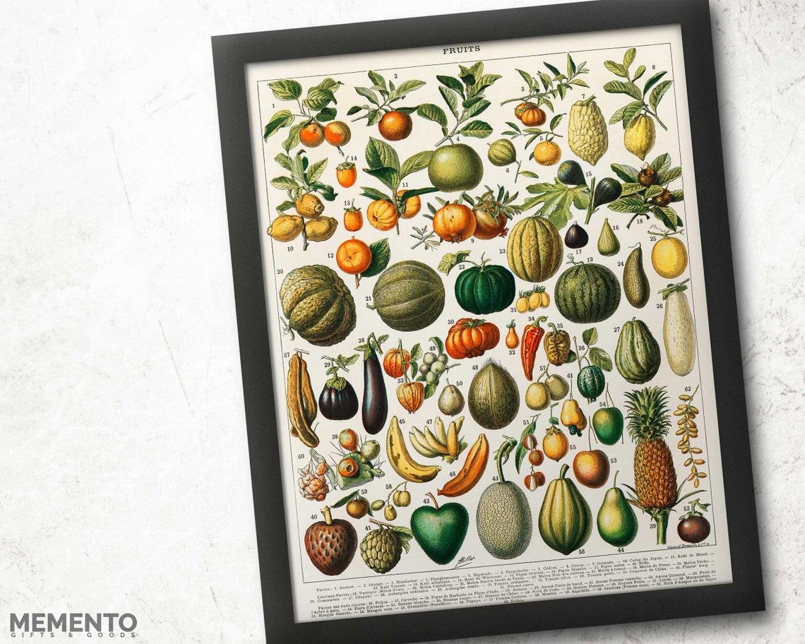 Fruits List Illustration Print Kitchen Wall Art Fruits Vintage Diagram - Image 2