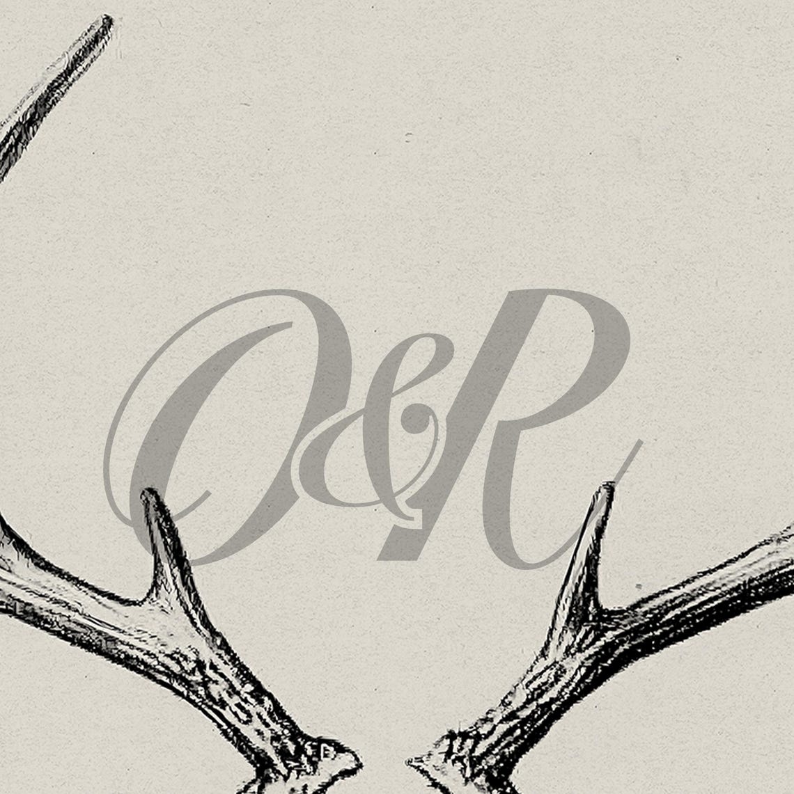 Deer Antler Sketch Minimalist Neutral Winter Rustic Lodge Wall Art - Image 5