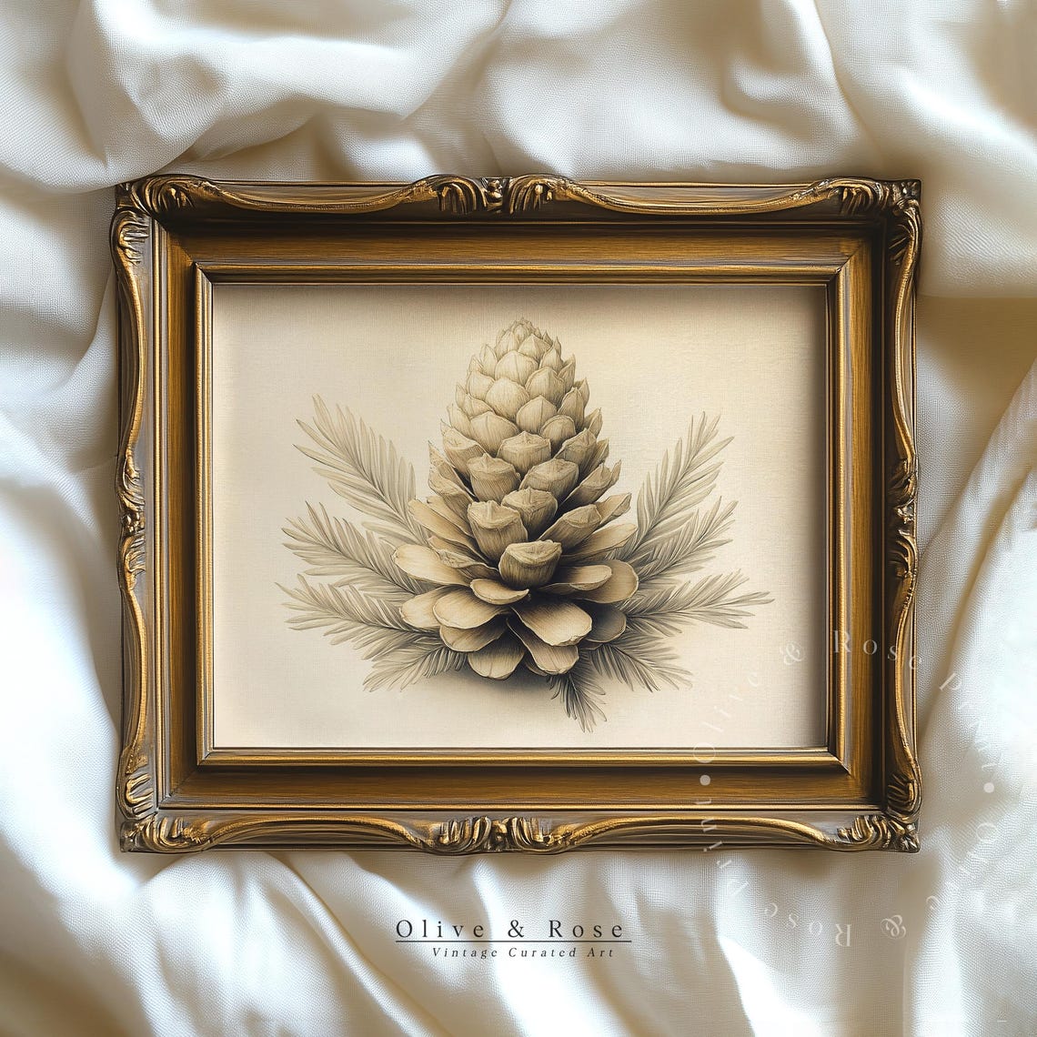 Pinecone And Pine Needles Vintage Sketch Antique Botanical Art Poster