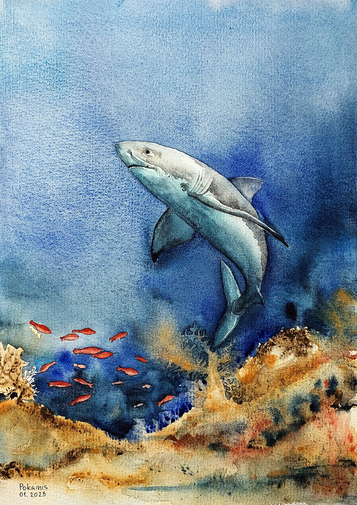 Great White Shark Over Coral Reef Watercolor Ocean Life Poster