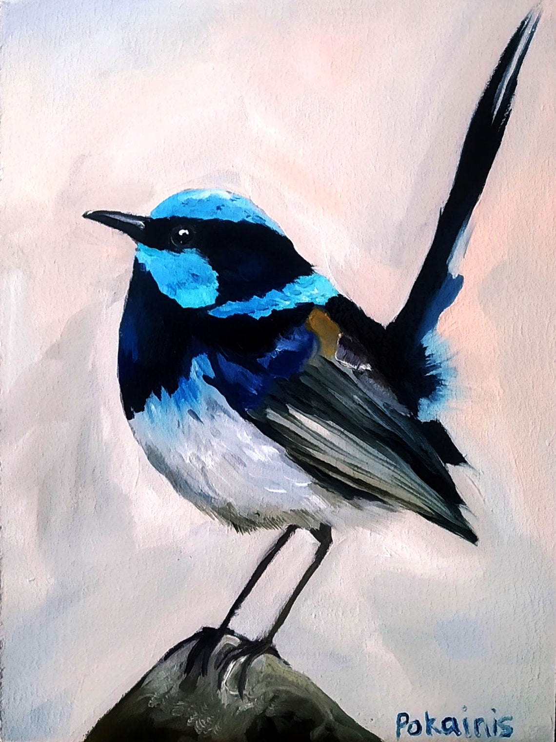 Superb Fairywren Male in Breeding Plumage Oil Bird Art Poster