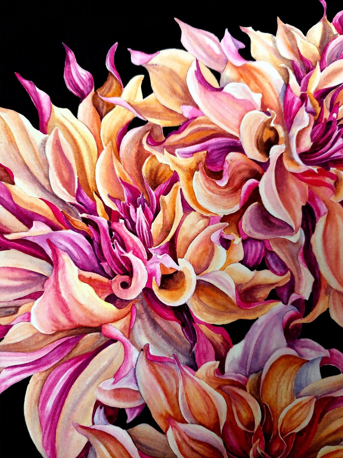 Pink Dahlia Trio Watercolor Floral on Black Background Poster - Image 3