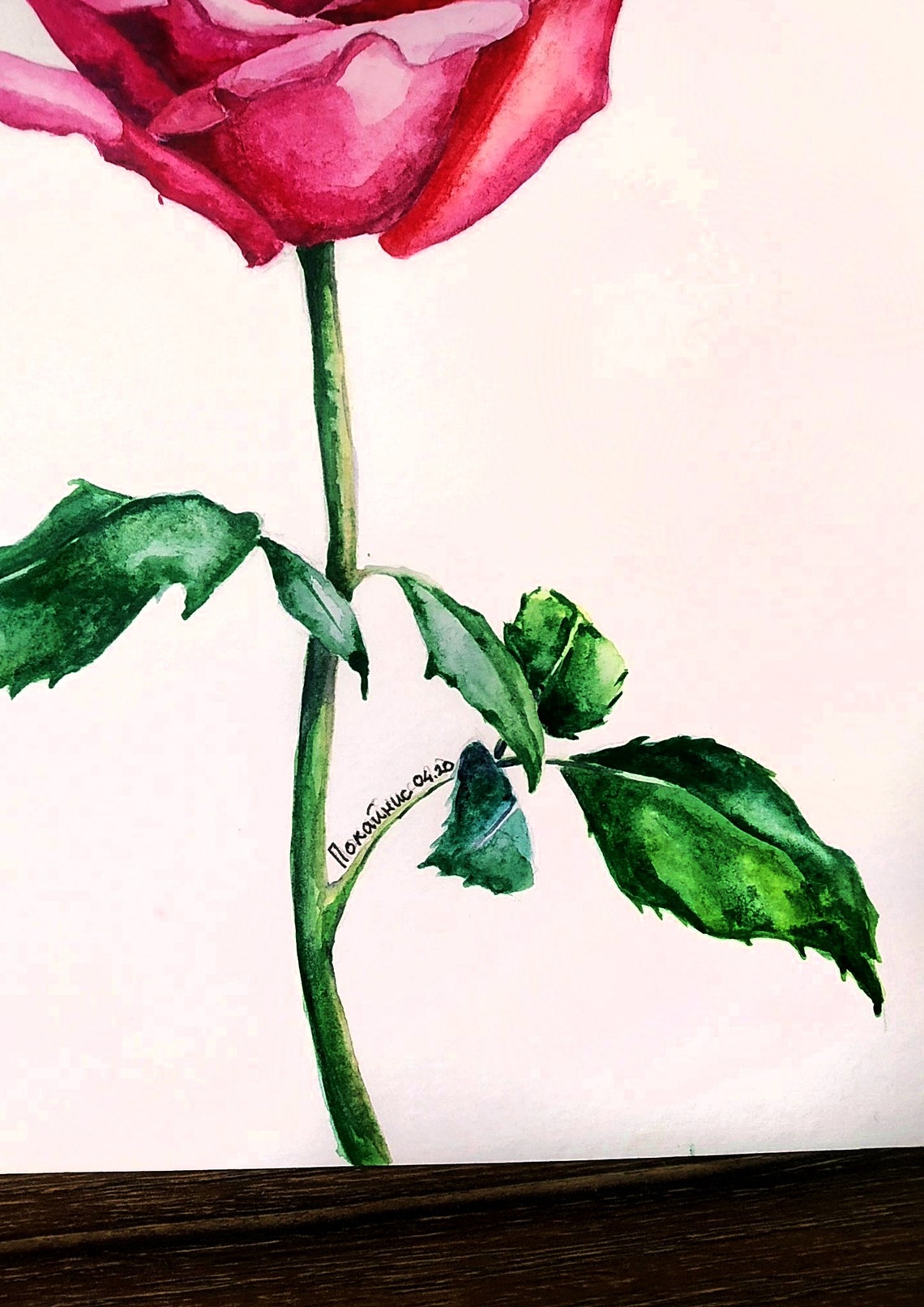 Pink Rose Stem Watercolor Romantic Flower Botanical Art Poster - Image 2