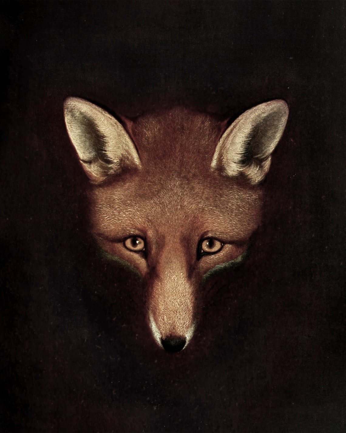 Fox Vintage Wall Art Print, Neutral Antique Decor - Image 3