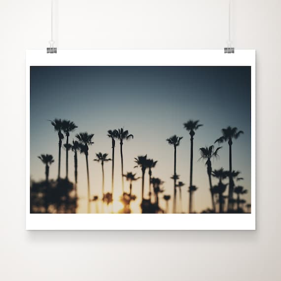 Long Beach Palm Tree Sunset Photograph Tropical Print